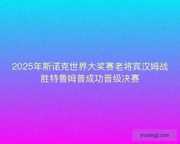 2025年斯诺克世界大奖赛老将宾汉姆战胜特鲁姆普成功晋级决赛